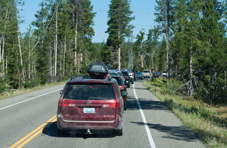 Line-of-traffic-waiting-to-enter-Yellowstone's-south-entrance