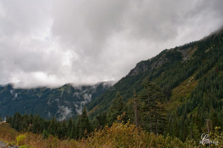 Low-clouds-over-Stevens-Pass