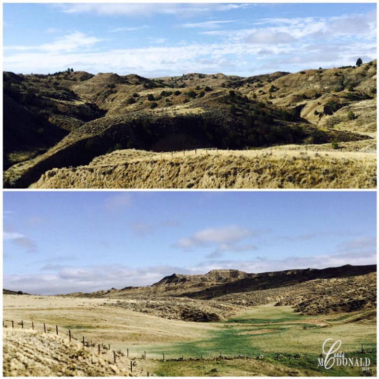 one-side-of-the-road-and-the-other