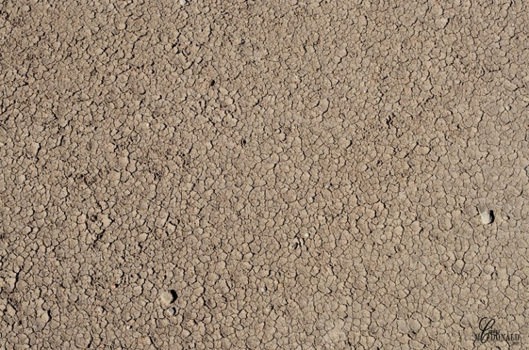the-dry-earth