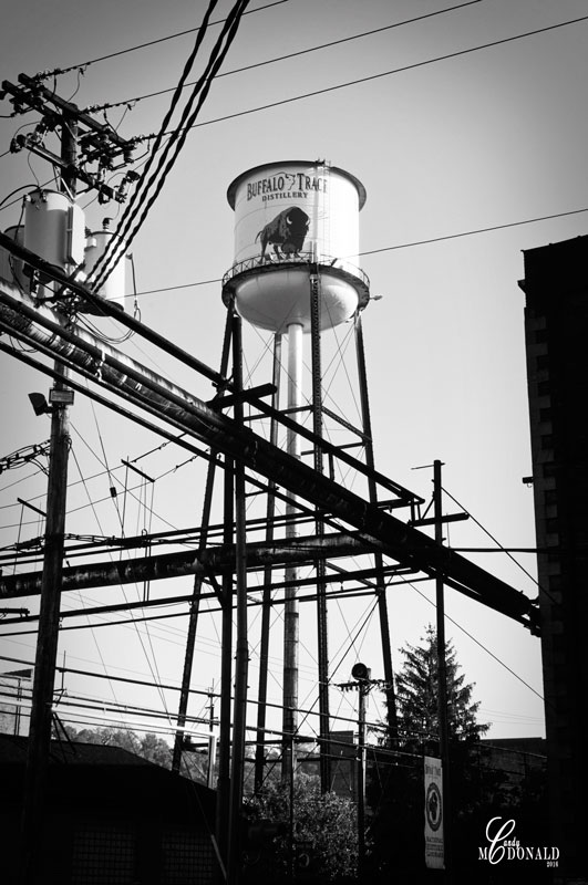 buffalo-trace-water-tower-bw