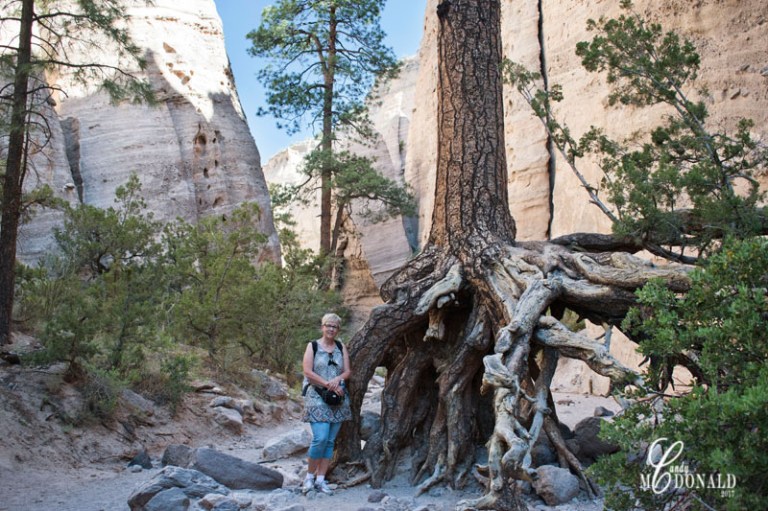 Gnarly rooted tree and me