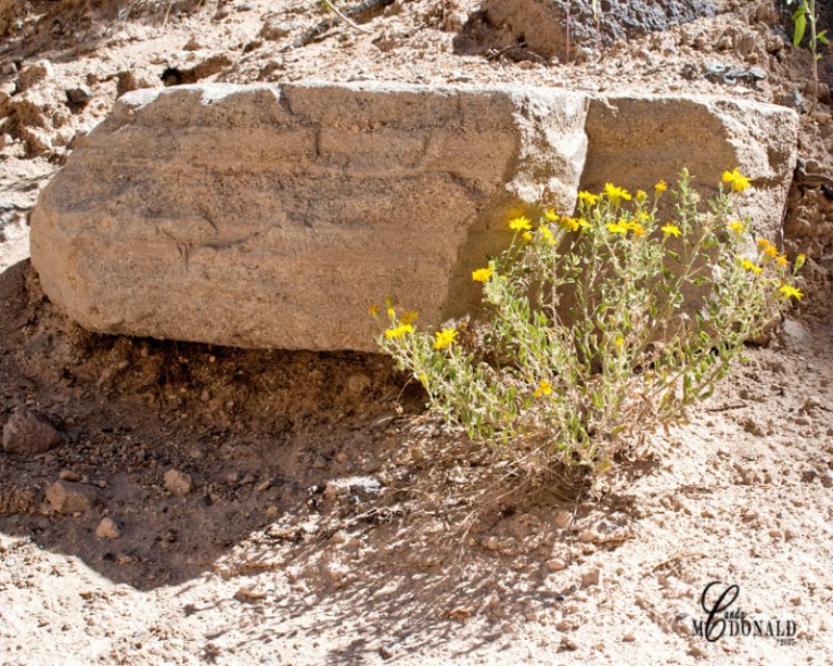 Growing between a rock and a hard place
