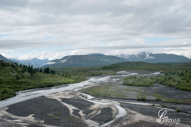 Tundra tour DSC_0081