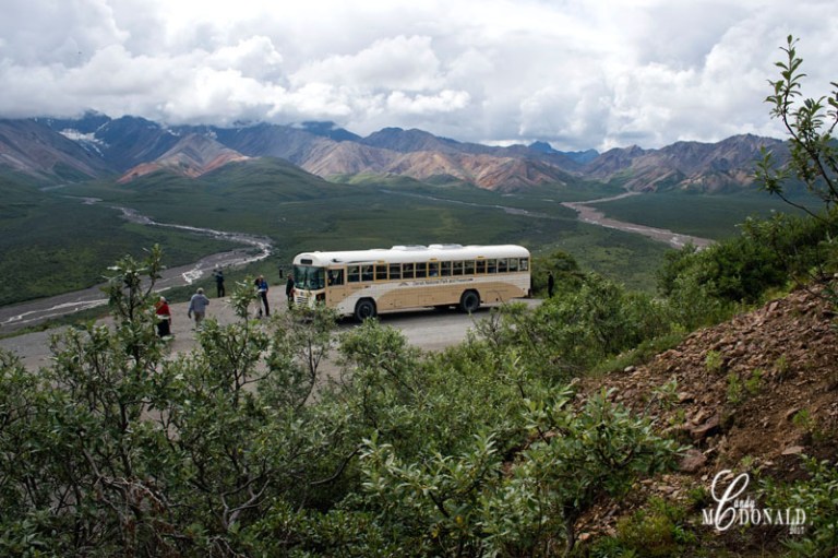 Tundra tour DSC_0207