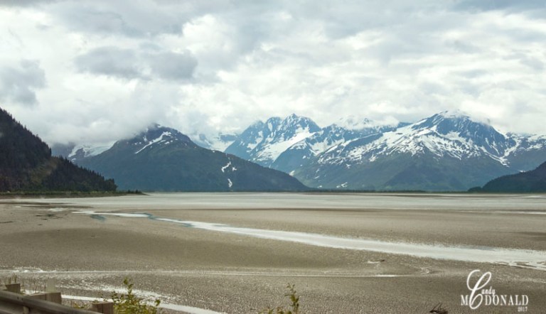 Turnagin Arm off Seward Hwy looking to Kenai MtnsDSC_0031