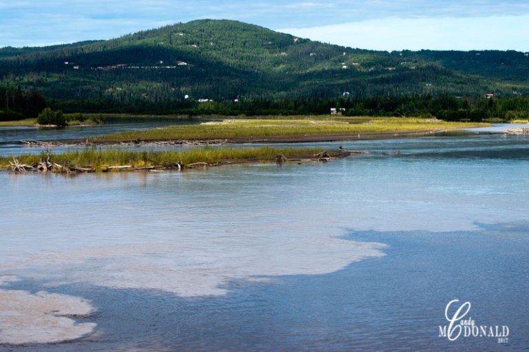 Fairbanks confluence Chena and Tanana DSC_0100