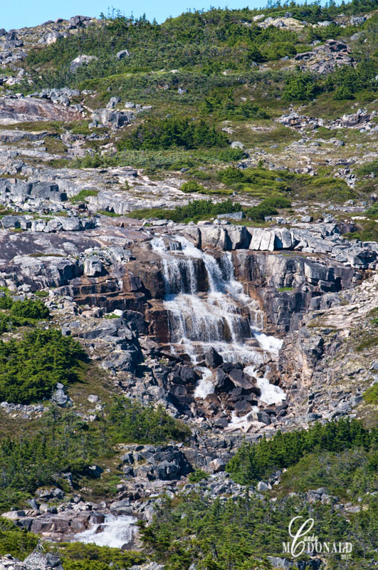 South Klondike Hwy DSC_0051 (2)