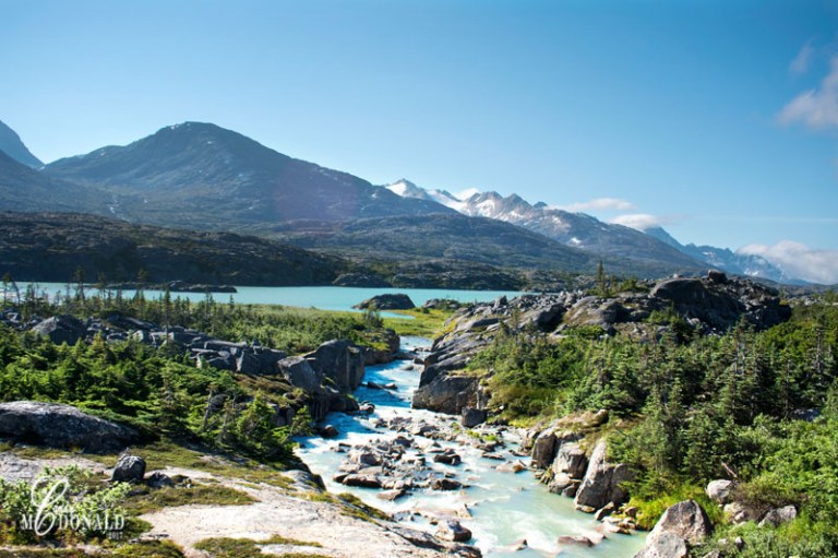 South Klondike Hwy DSC_0251