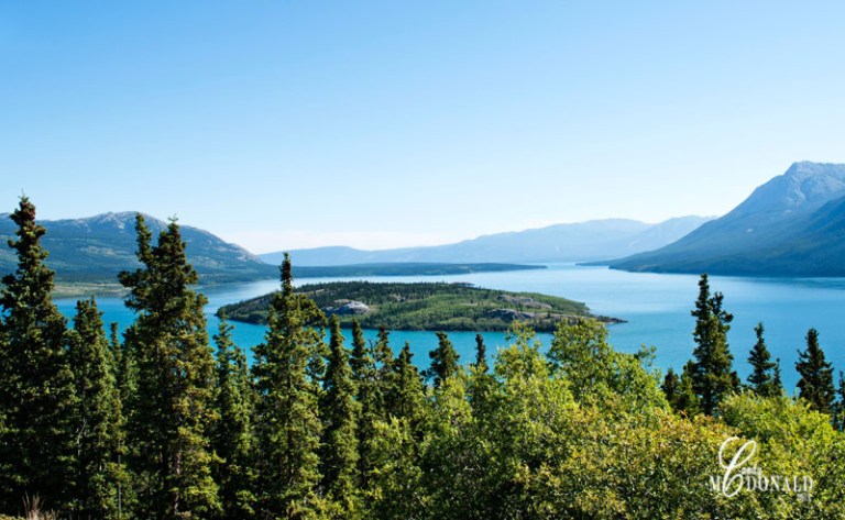 South Klondike Hwy DSC_0288