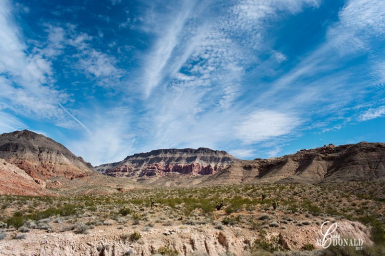 Drive from Zion to Boulder City DSC_0037