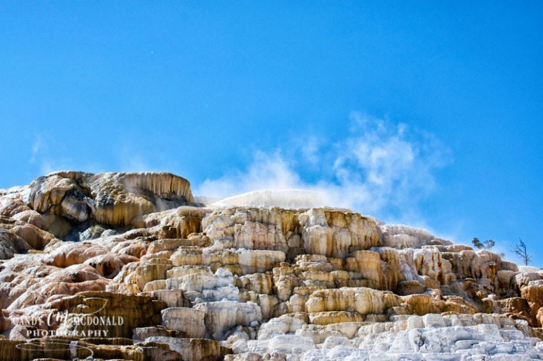 Mammoth Hot Springs DSC_0066