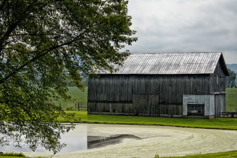 Old Barn DSC_0011