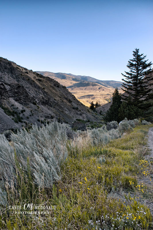 Paradise Valley DSC_0005