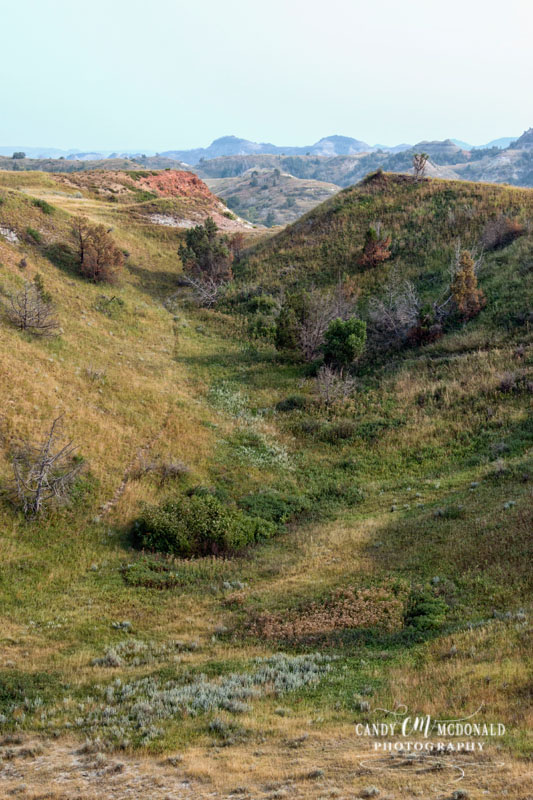 South unit views DSC_0040