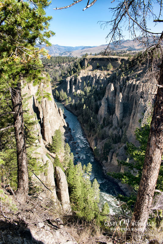 Yellowstone DSC_0033