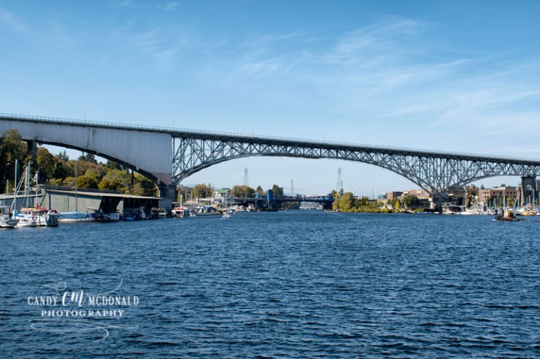 Fremont bridge DSC_0017