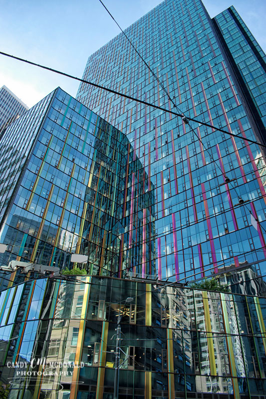 Reflections DSC_0181