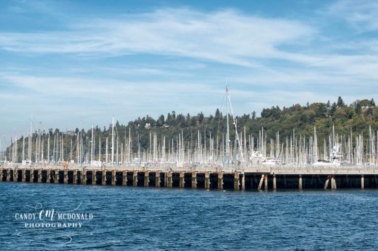 Shilshole marina DSC_0135