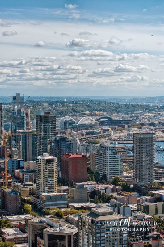 Space Needle view from top DSC_0021