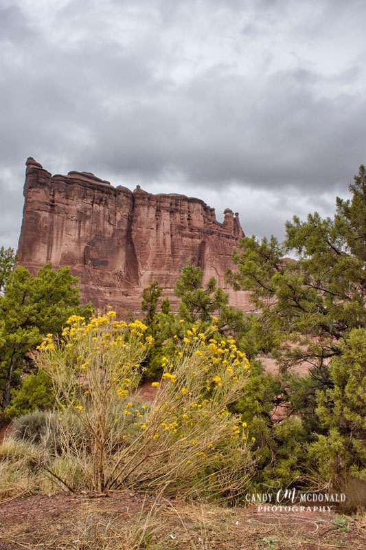 Arches DSC_0015
