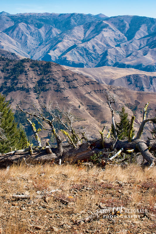 Hells Canyon DSC_0006