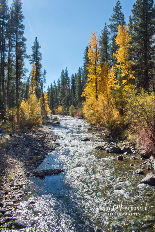 Imnaha River DSC_0044