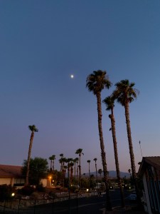 Moonrise over the palms at Caliente Springs RV Resort in Desert Hot Springs, CA