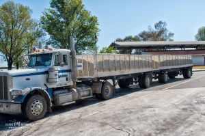 Truck carrying load of onions parked at rest area