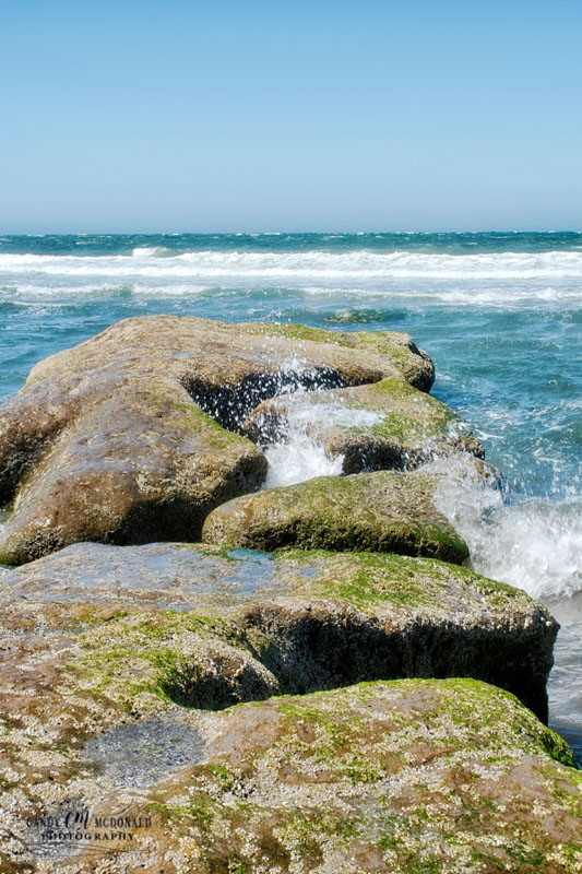 Waves break onto algae covered rocks alongside beach
