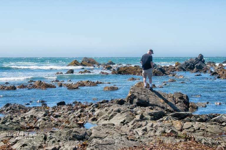 A man stands on rocks along rocky shoreline of Pacific Ocean in Crescent City, CA