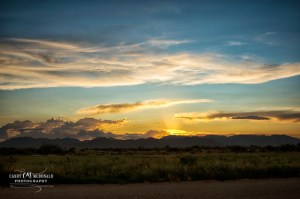 Desert sunset in Willcox, AZ